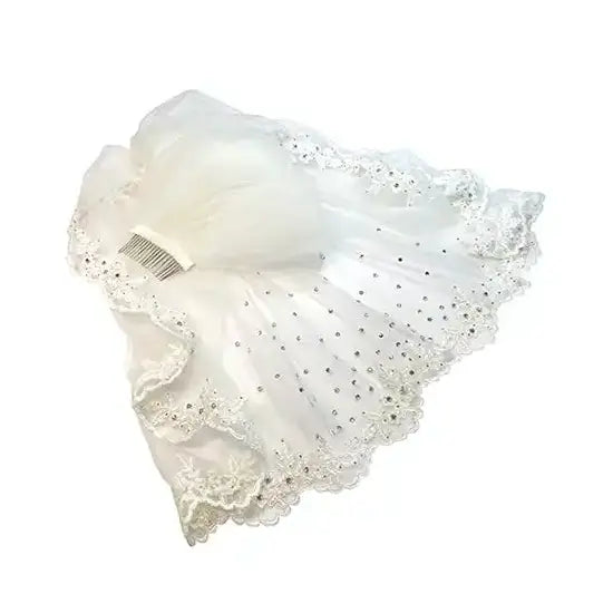 White wedding veil embellished with Hotfix Serinity Crystals from Bluestreak Crystals