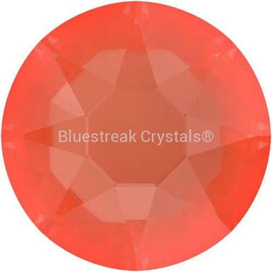 Serinity Hotfix Flat Back Crystals (2000, 2038 & 2078) Crystal Orange Ignite-Serinity Hotfix Flatback Crystals-SS10 (2.8mm) - Pack of 50-Bluestreak Crystals