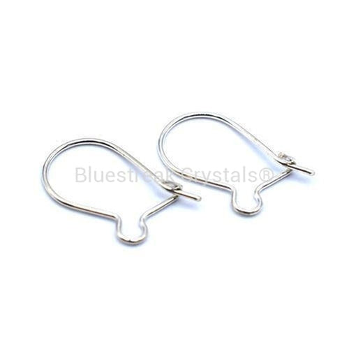 Buy 10x Stainless Steel Kidney Earring Hooks With Clasps No Fade Online in  India  Etsy